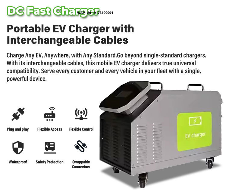 Caricatore EV Portatile DC per - Portable Dc Fast Charger 20Kw Ccs2 recensione e prezzo